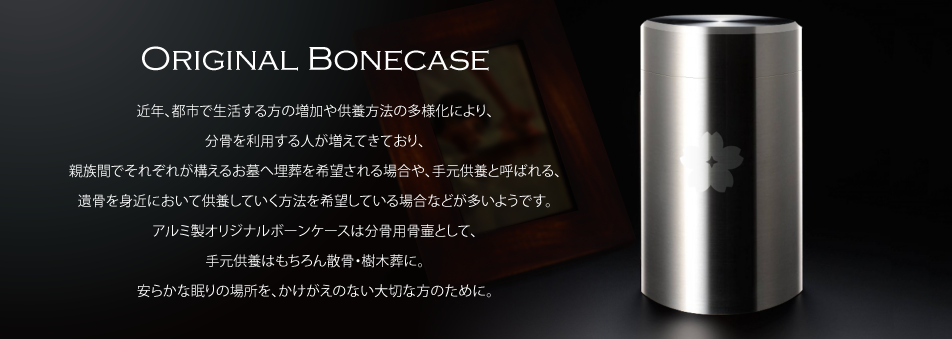 Original Bonecase